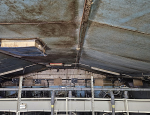 Bourací práce na hale chovu prasnic